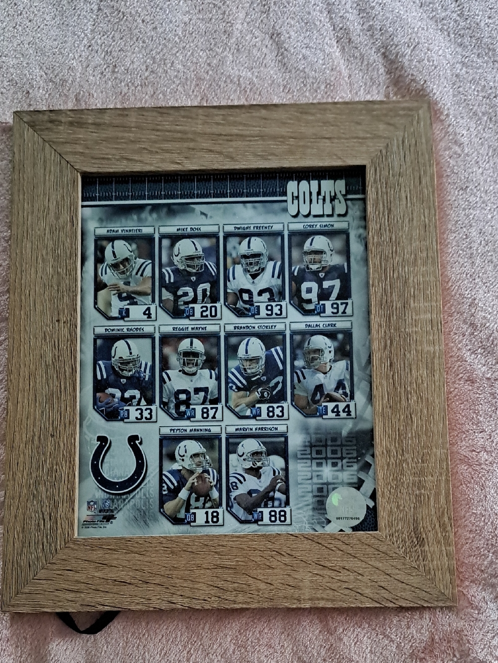 Colts Framed Team Photo Wall Accent in Brown